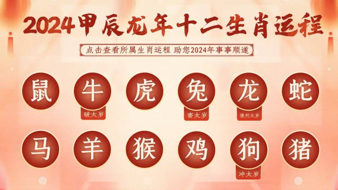 2024十二生肖49码表介绍-第2张图片