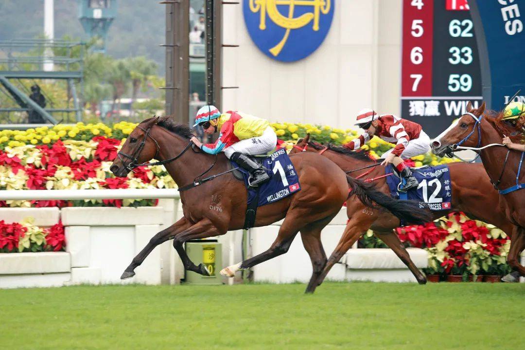 香港开马开奖现场直播下载香港开马开奖现场直播下载-第3张图片