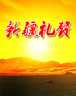 新疆福利彩票网新疆福利彩票网，福利彩票的新疆篇章-第2张图片