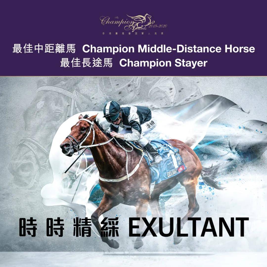 香港马会资枓大全2019-第2张图片