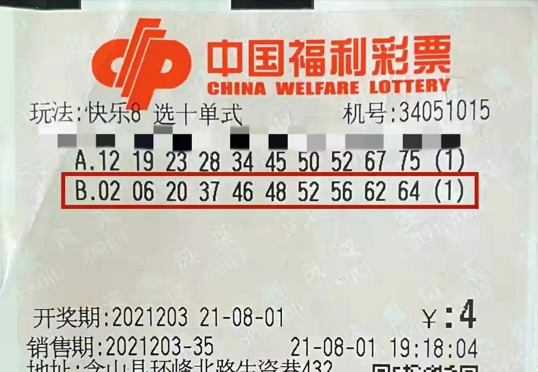 新澳开奖结果记录史免费，揭秘彩票大奖的神秘面纱