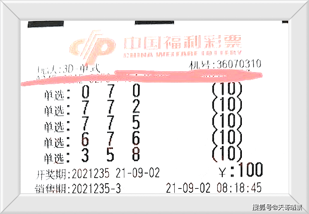 排列三专业带连线专业版，探索彩票新天地