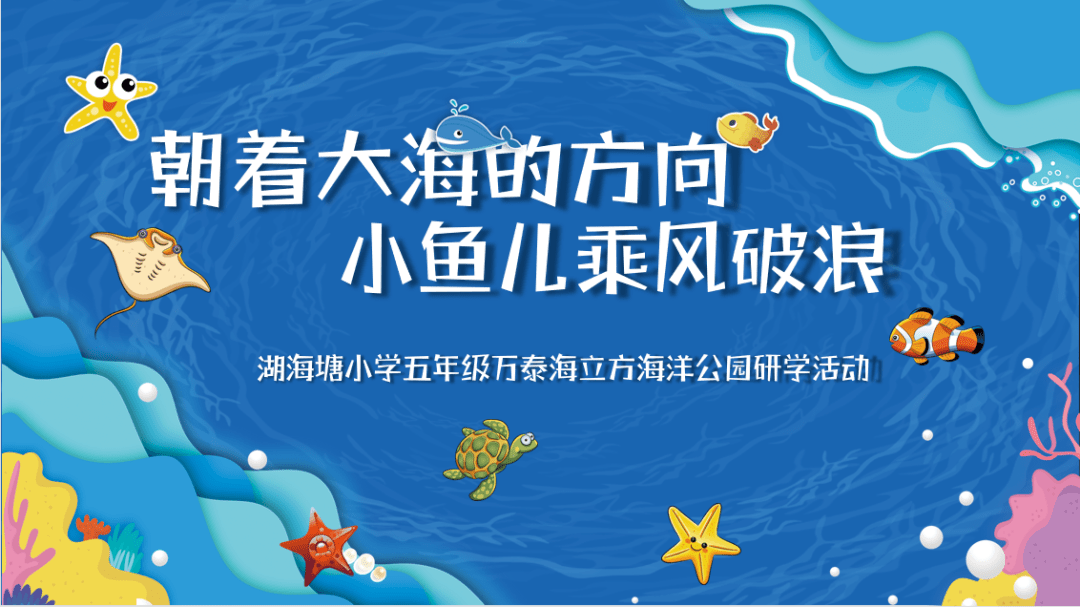 小鱼儿主页小鱼儿主页，探索无限可能
