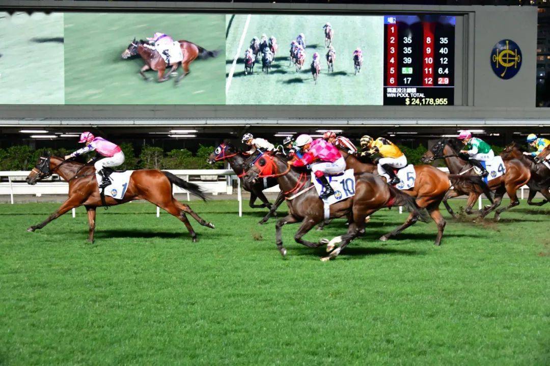 香港开马开奖现场直播下载香港开马开奖现场直播下载-第2张图片