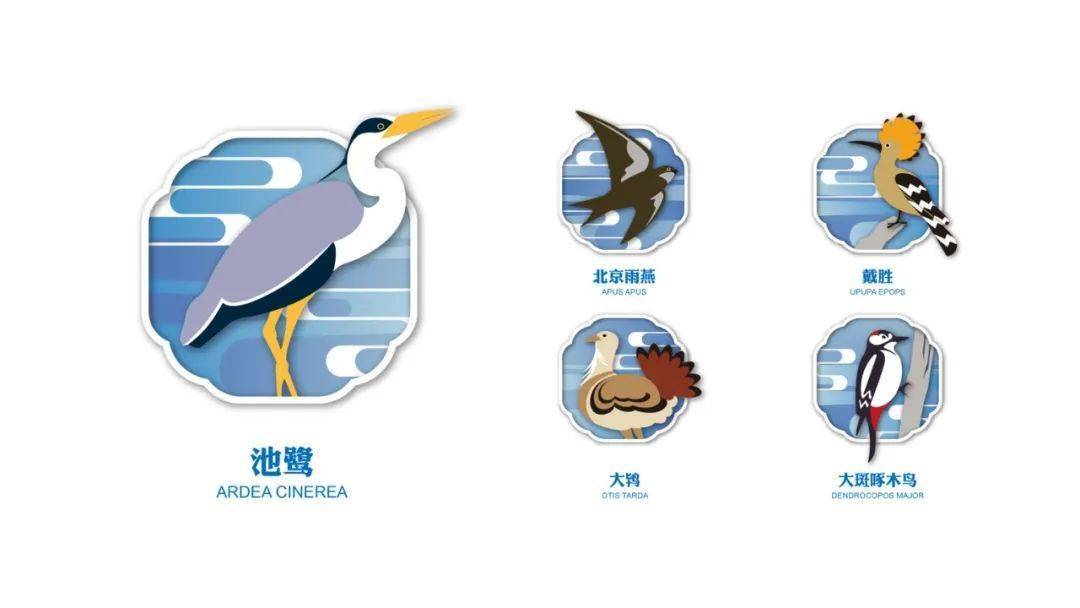 49彩图库免费资料，港澳地区实用资源大揭秘-第2张图片