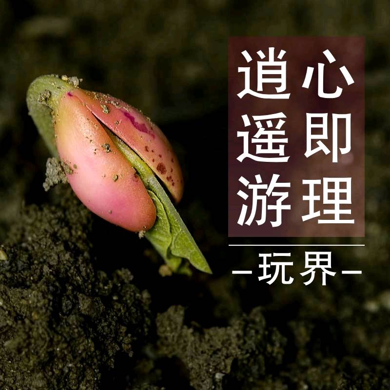 熊猫人安卓下载熊猫人下载，探索数字时代的文化新宠