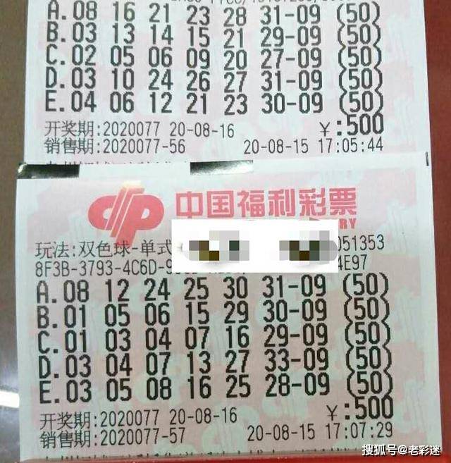 甘肃十一选五甘肃十一选五，彩票之魅力与挑战