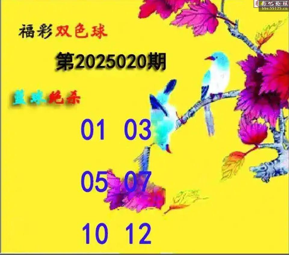 55125中国彩55125中国彩，绚丽多彩的魅力-第1张图片