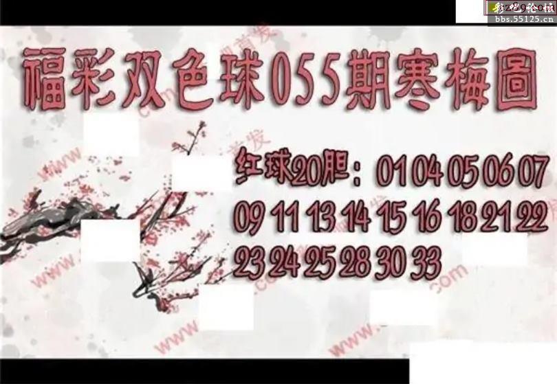 55125中国彩55125中国彩，绚丽多彩的魅力
