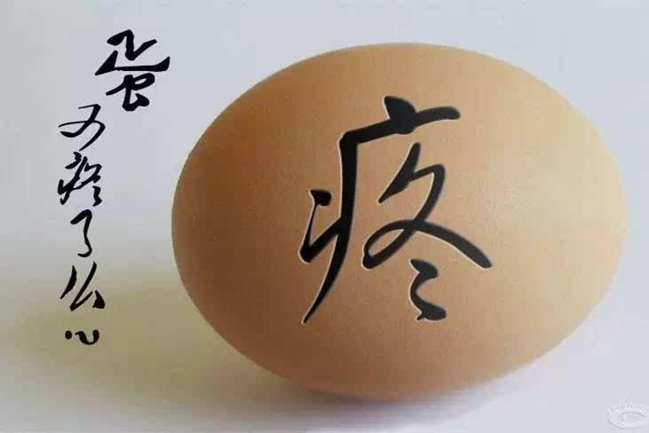 蛋蛋22号贴吧蛋蛋22号截图-第2张图片