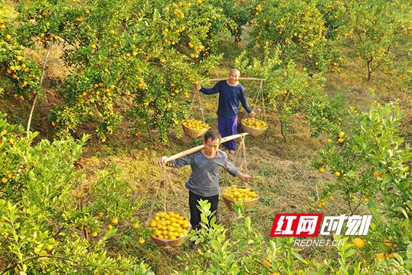 大丰收论坛大丰收论坛，收获满满