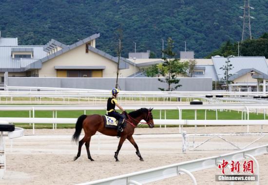 香港马会资枓大全2019，全面解析与展望-第3张图片