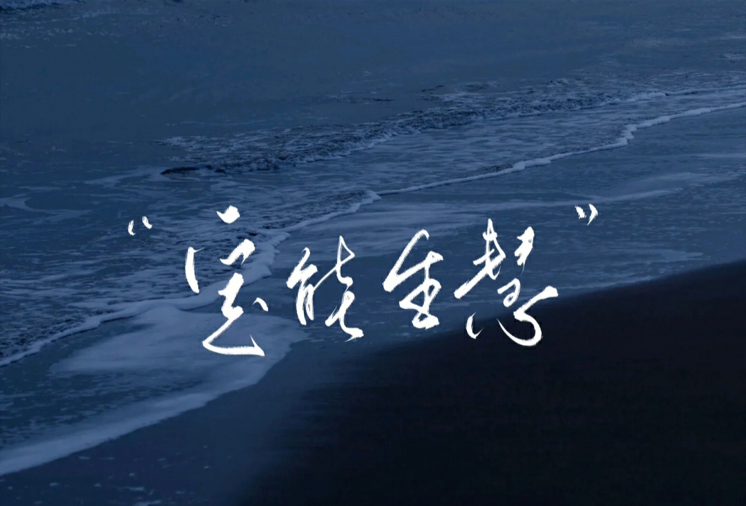 2023一码一肖，预测与成功的秘密