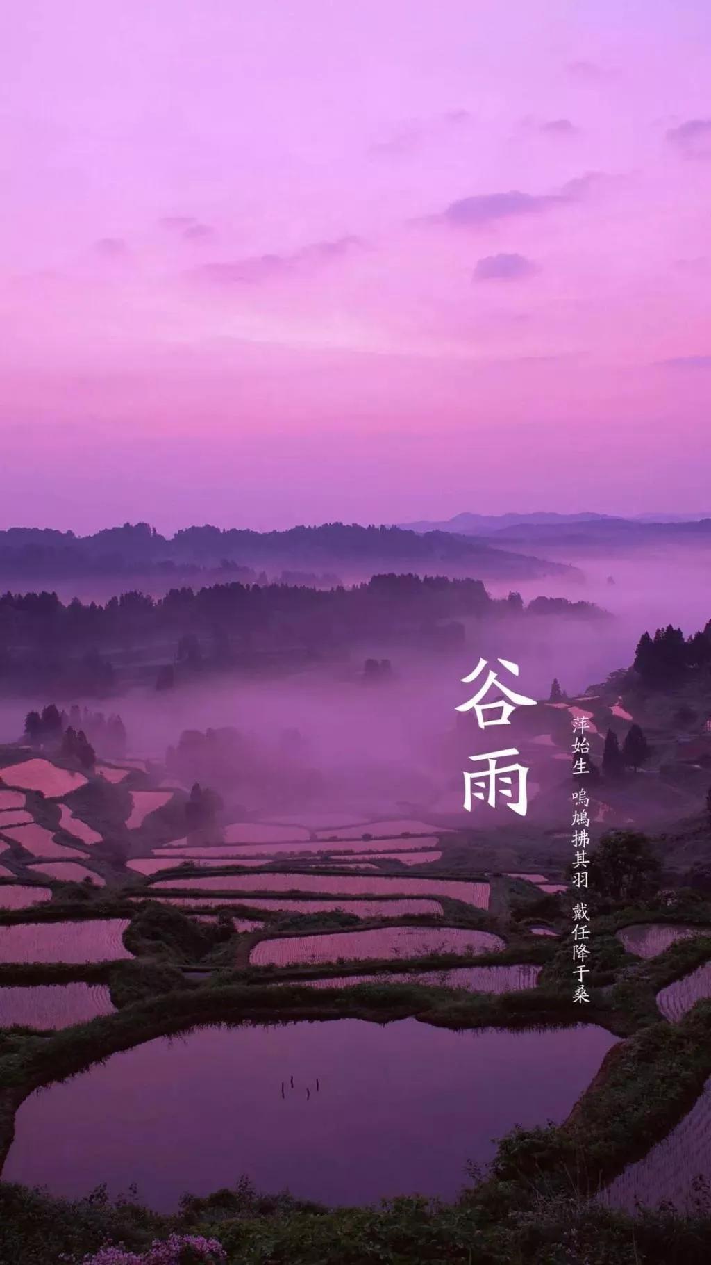 出水芙蓉，是一种文学形象或象征，其含义丰富且深远。在不同的语境下，它的含义可能有所不同。以下是对出水芙蓉这一关键词的详细解释和文章内容。-第3张图片
