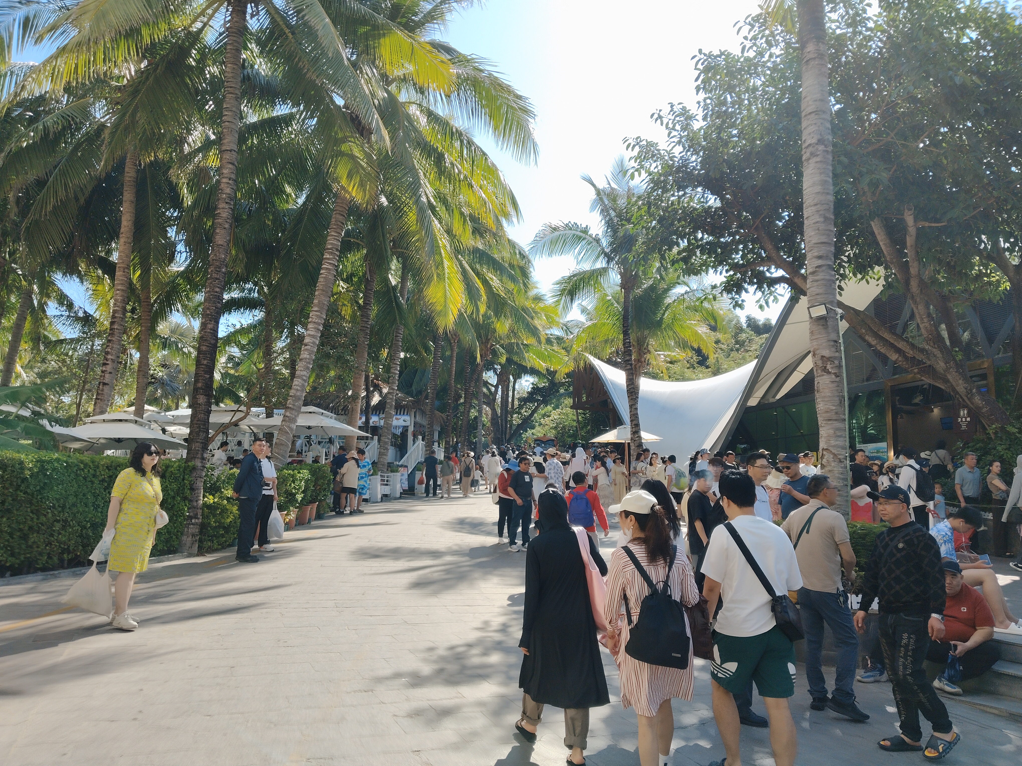 春节海南旅游攻略自由行春节海南旅游攻略