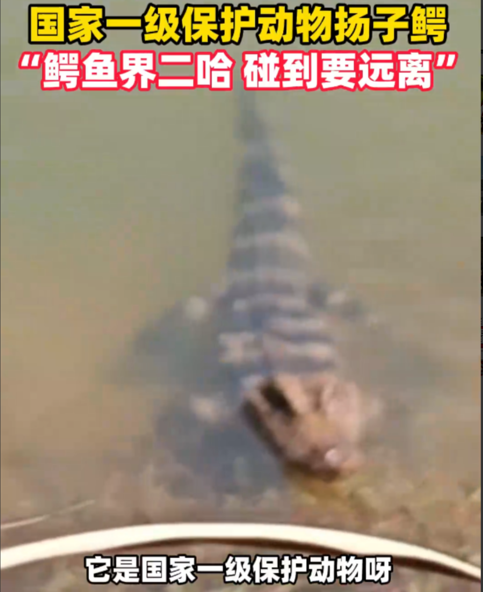 比思论坛2比思论坛2，深度探讨与智慧碰撞