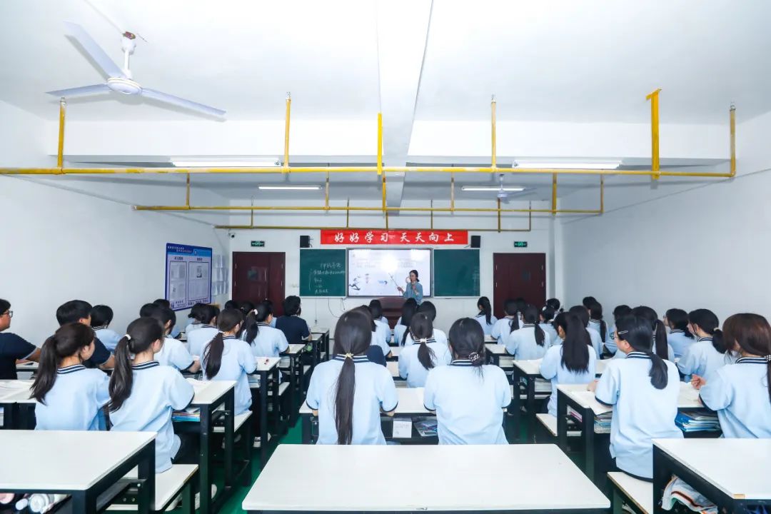 168图库助手探索168图库助手，智能工具的魅力与便捷-第1张图片