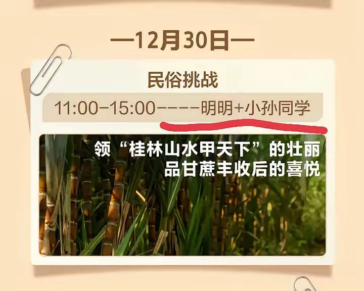 甘蔗网页甘蔗网小游戏，乐趣与挑战的完美结合