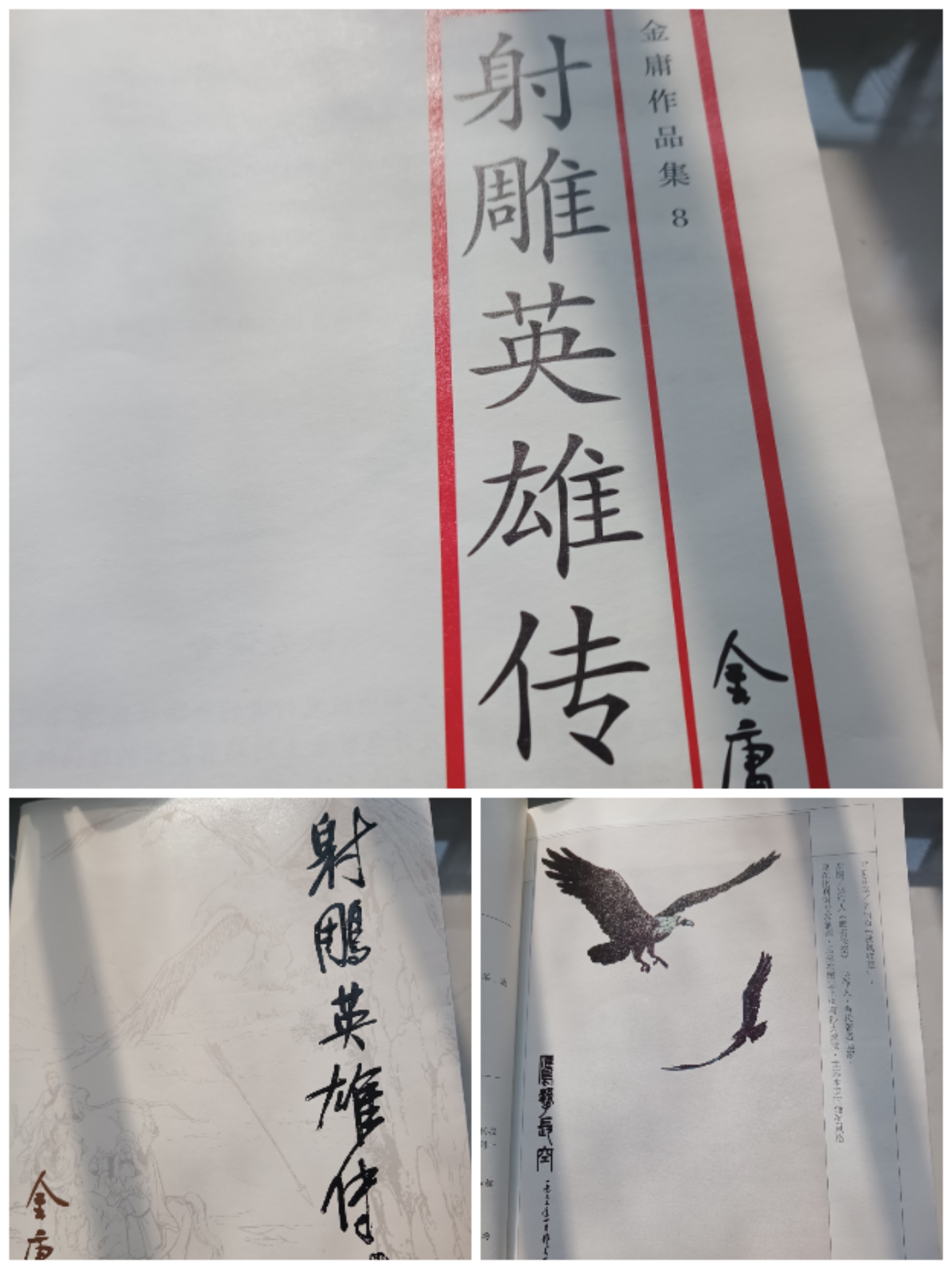 鹰击长空2鹰击长空2，探索天空的壮丽与挑战-第2张图片