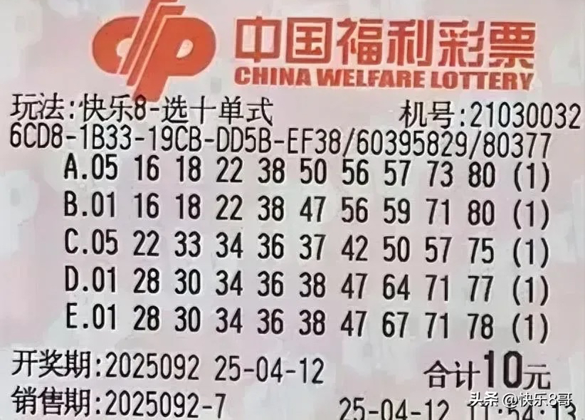快8开奖查询结果揭晓-第2张图片