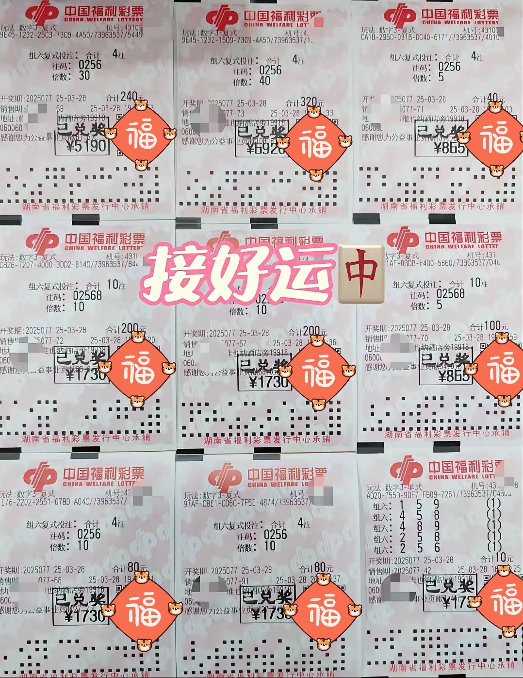 福彩3D(综合版)福彩3D综合版，探索彩票新世界