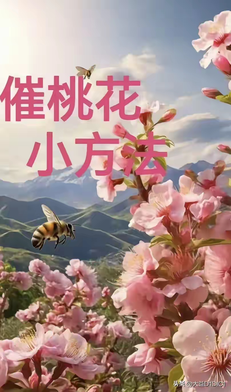 今日桃花运连连-第2张图片