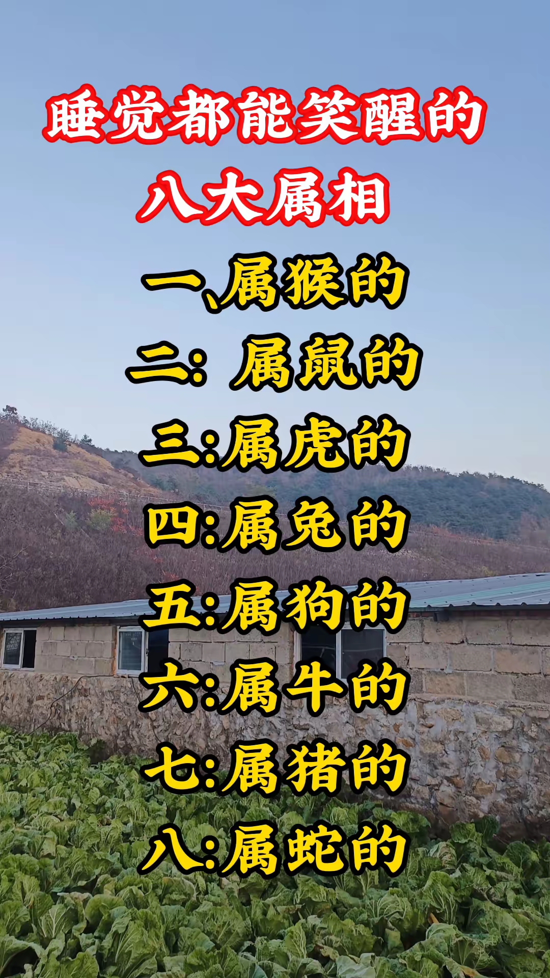 二八追求五迟疑是什么生肖动物二八追求五迟疑是什么生肖-第1张图片