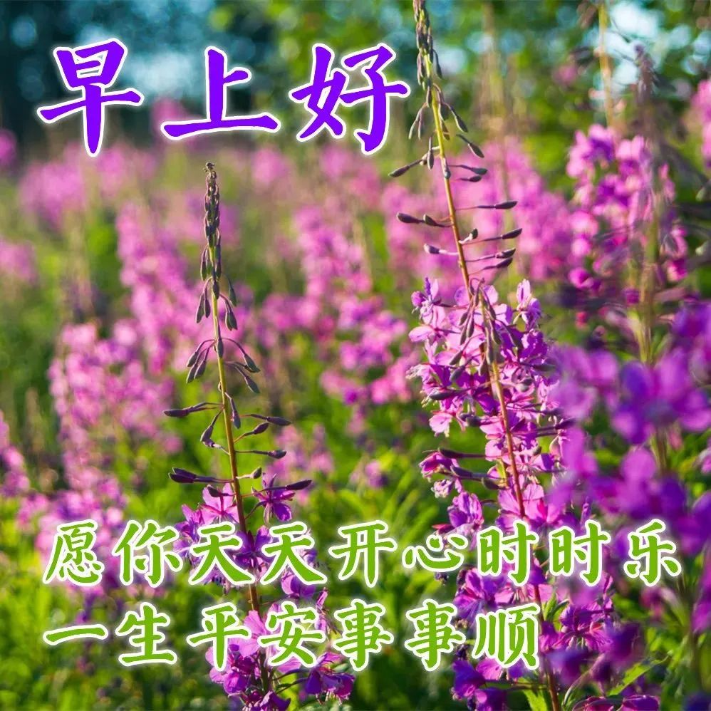 时时乐，生活中的快乐时刻-第2张图片