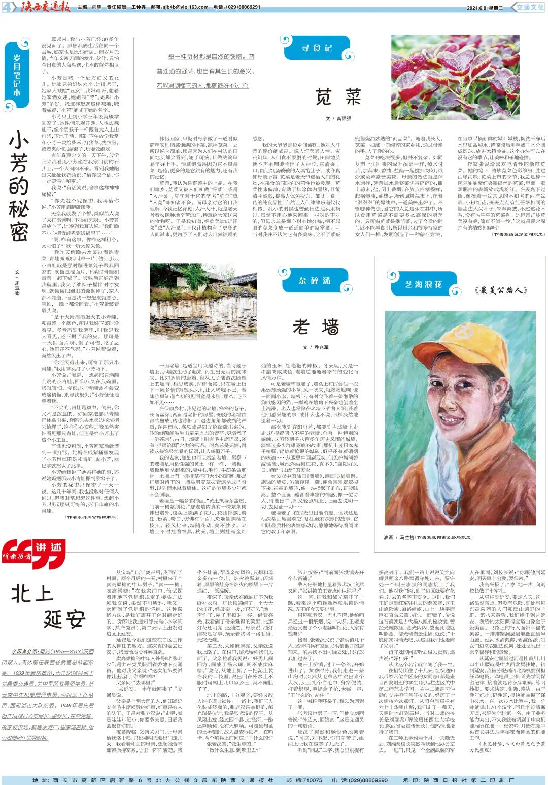 今晚必中一码一肖2021今晚必中一码一肖，2021年预测与策略