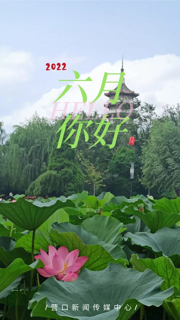 2022年资料大全完整版2022年资料大全完整版