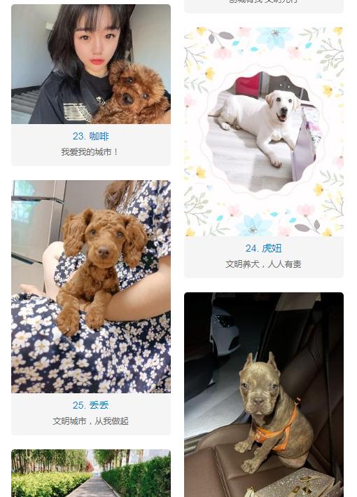 硬门槛子是什么生肖动物硬门槛子是什么生肖