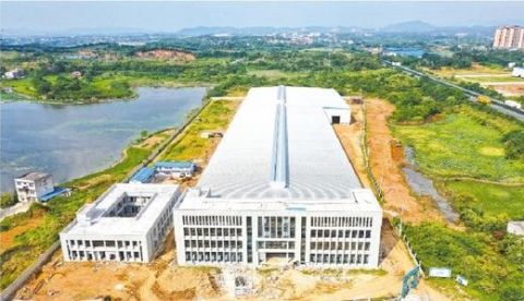 比思论坛 特区 西方美人比思论坛特区，探索创新与发展的新天地