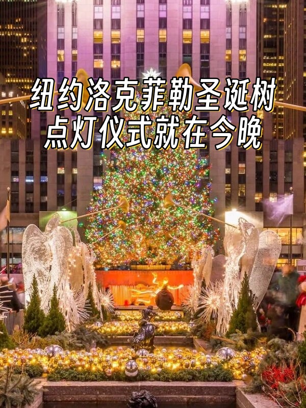 2024香港特马之夜盛事揭秘，今晚将开出的神秘特马-第2张图片