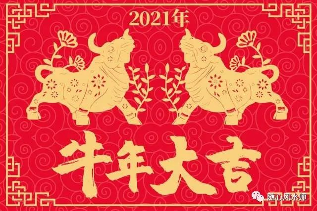 香港马现场开奖结果2021