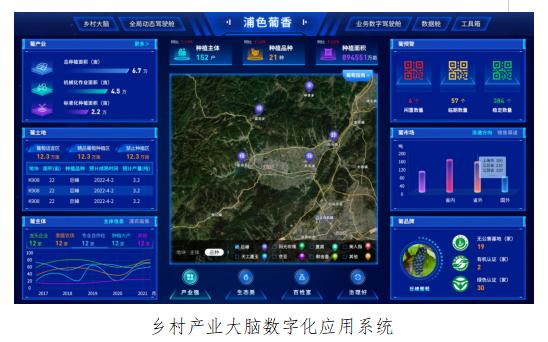 平码专区平码专区，数字游戏的新天地