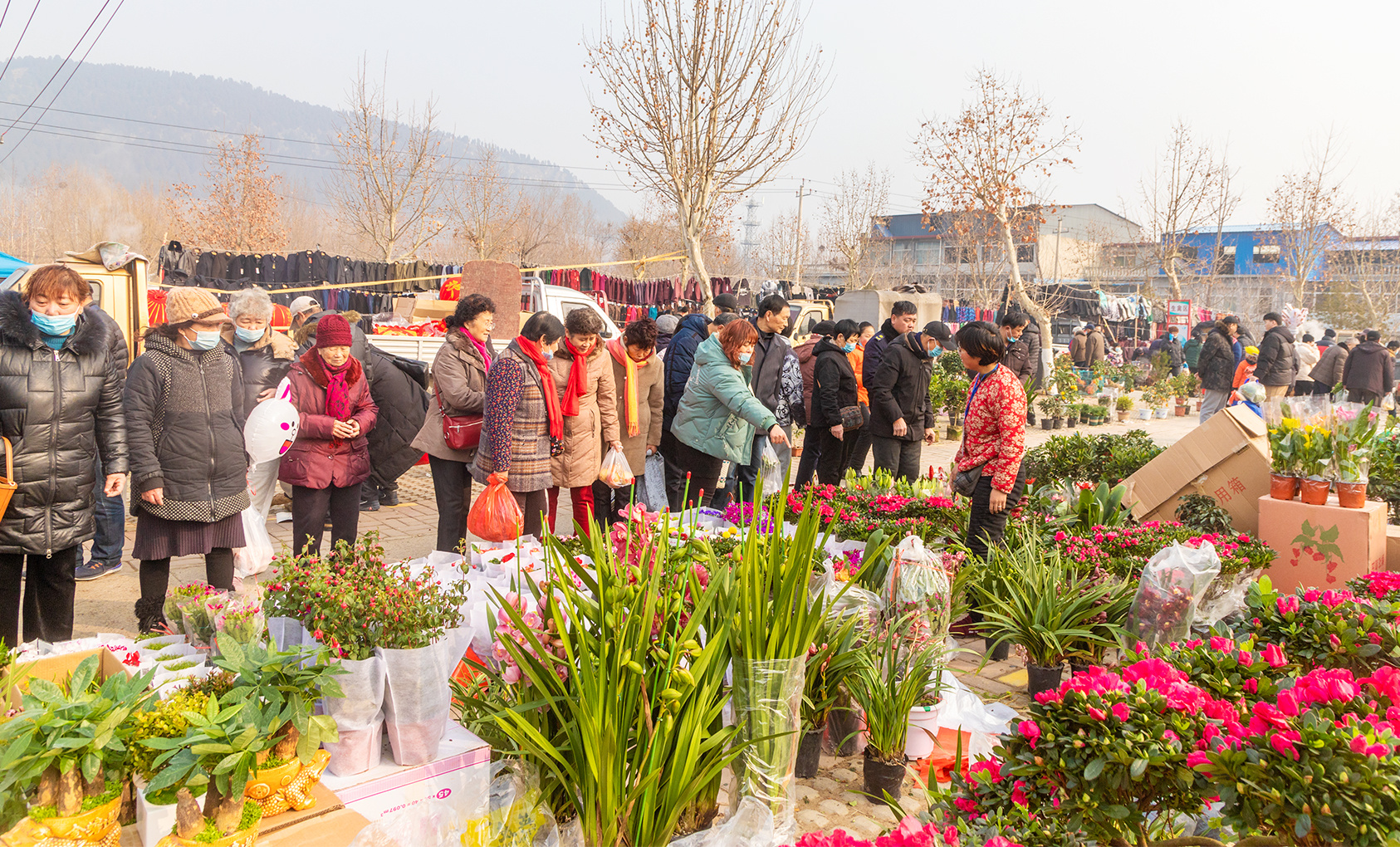 大集汇楼盘大集汇娱乐，城市文化的新亮点
