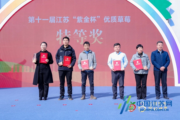 江苏十一选五开奖结果查询结果江苏十一选五开奖结果揭晓-第2张图片