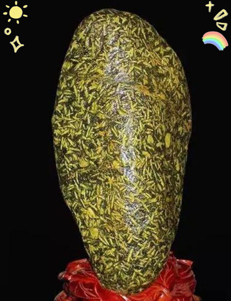 上海茶叶大王向玉荣个人资料上海茶叶大王向玉荣，茶韵人生，辉煌传奇
