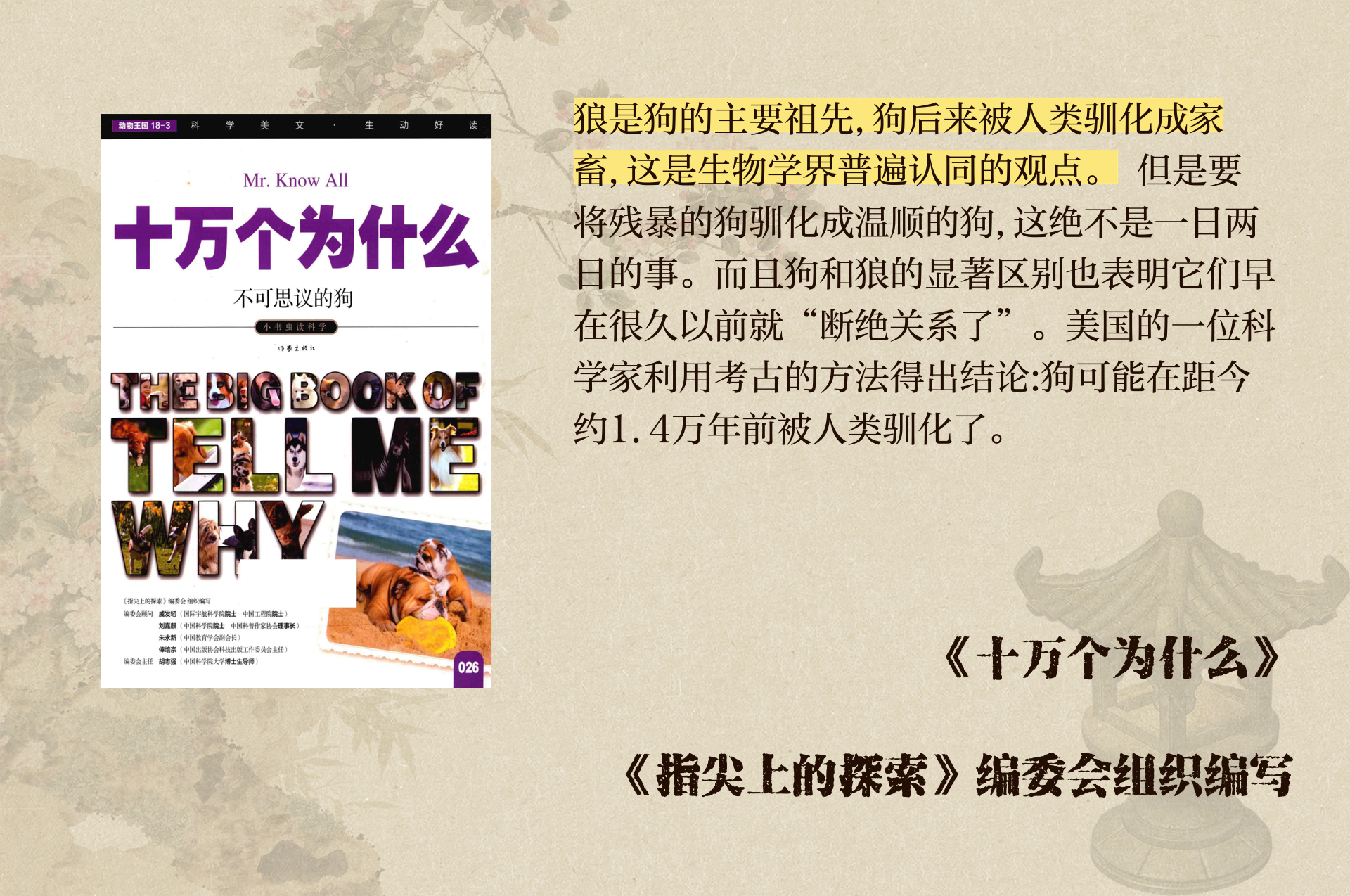 小狼狗高手论坛最新小狼狗高手论坛，探讨狼犬成长与训练的奥秘