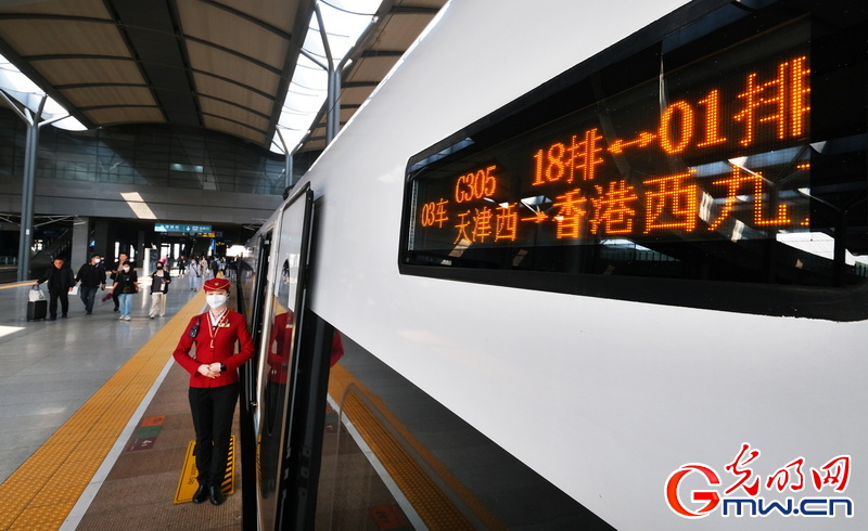 2023香港近15期开奖结果回顾