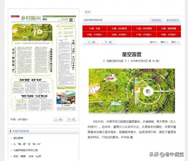 河南日报农村版电子版，乡村振兴的新引擎