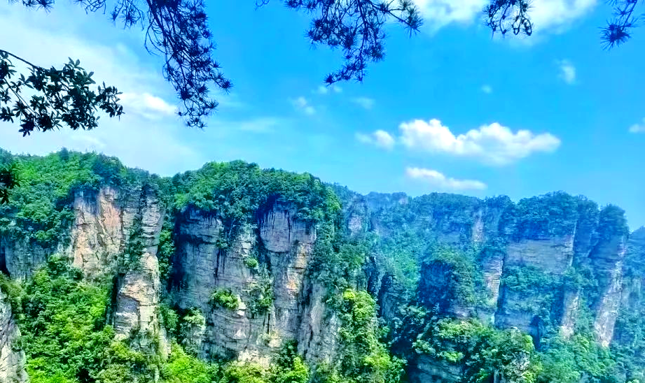 第一中文网，网络世界的璀璨明珠-第2张图片
