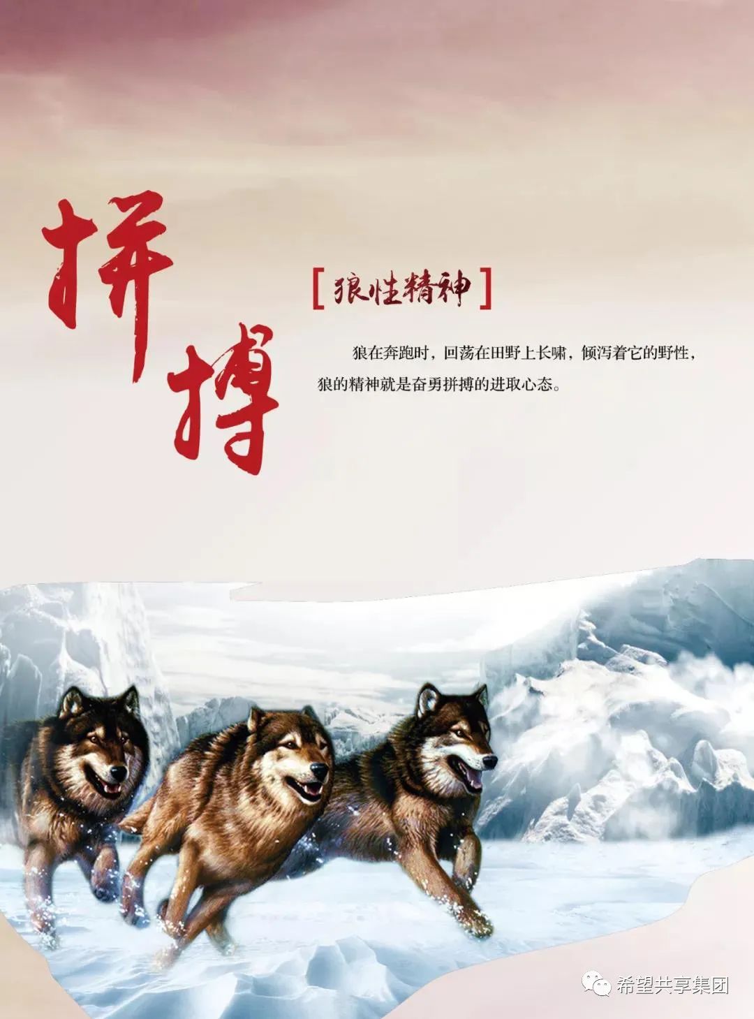 广西的狼论坛广西狼论坛，探寻狼性精神的栖息地-第3张图片