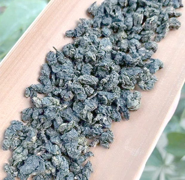 白芽奇兰白芽奇兰，兰花中的珍品