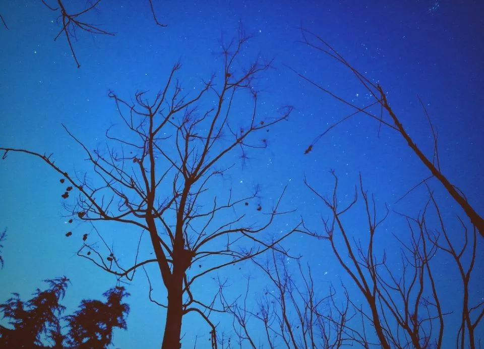 星空影视，星辰下的艺术与探索-第2张图片