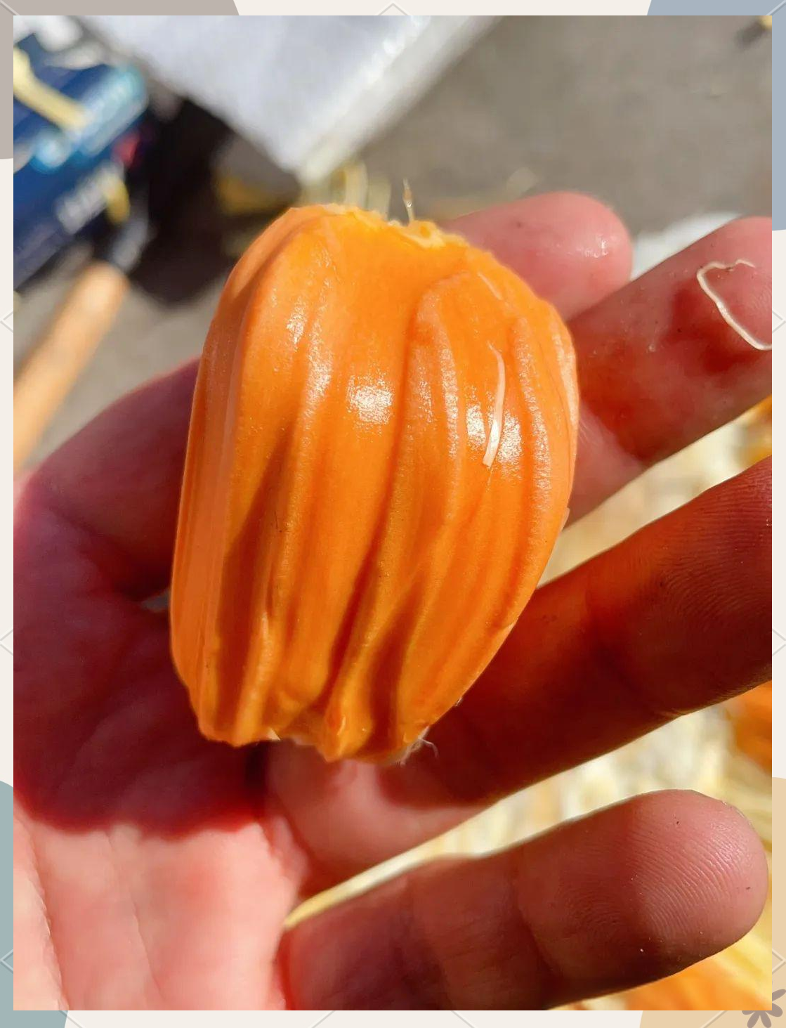 菠萝蜜官网dim菠萝蜜官网，探索健康与美味的完美结合