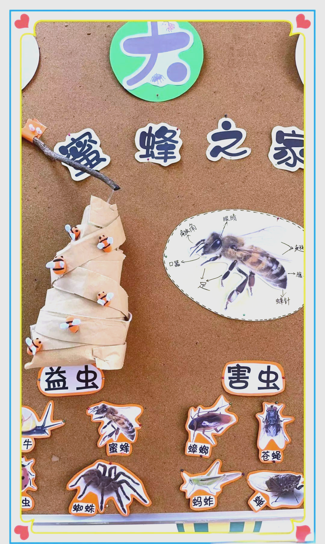 虫虫高手论坛，探索网络社区的奇妙世界-第2张图片
