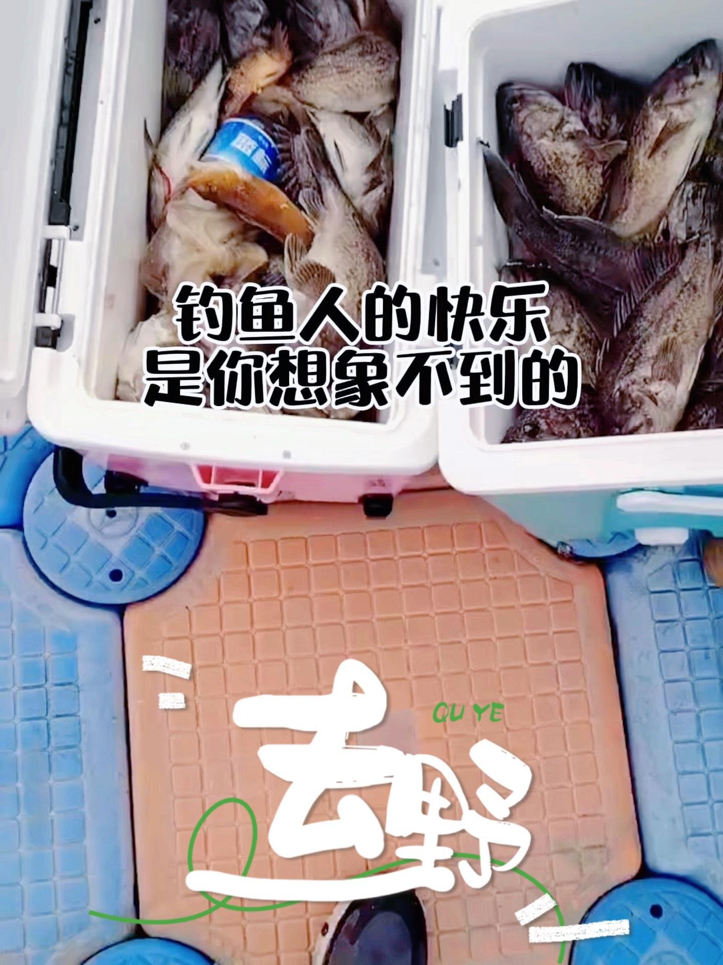 四海钓鱼在线直播，探索钓鱼的无限魅力