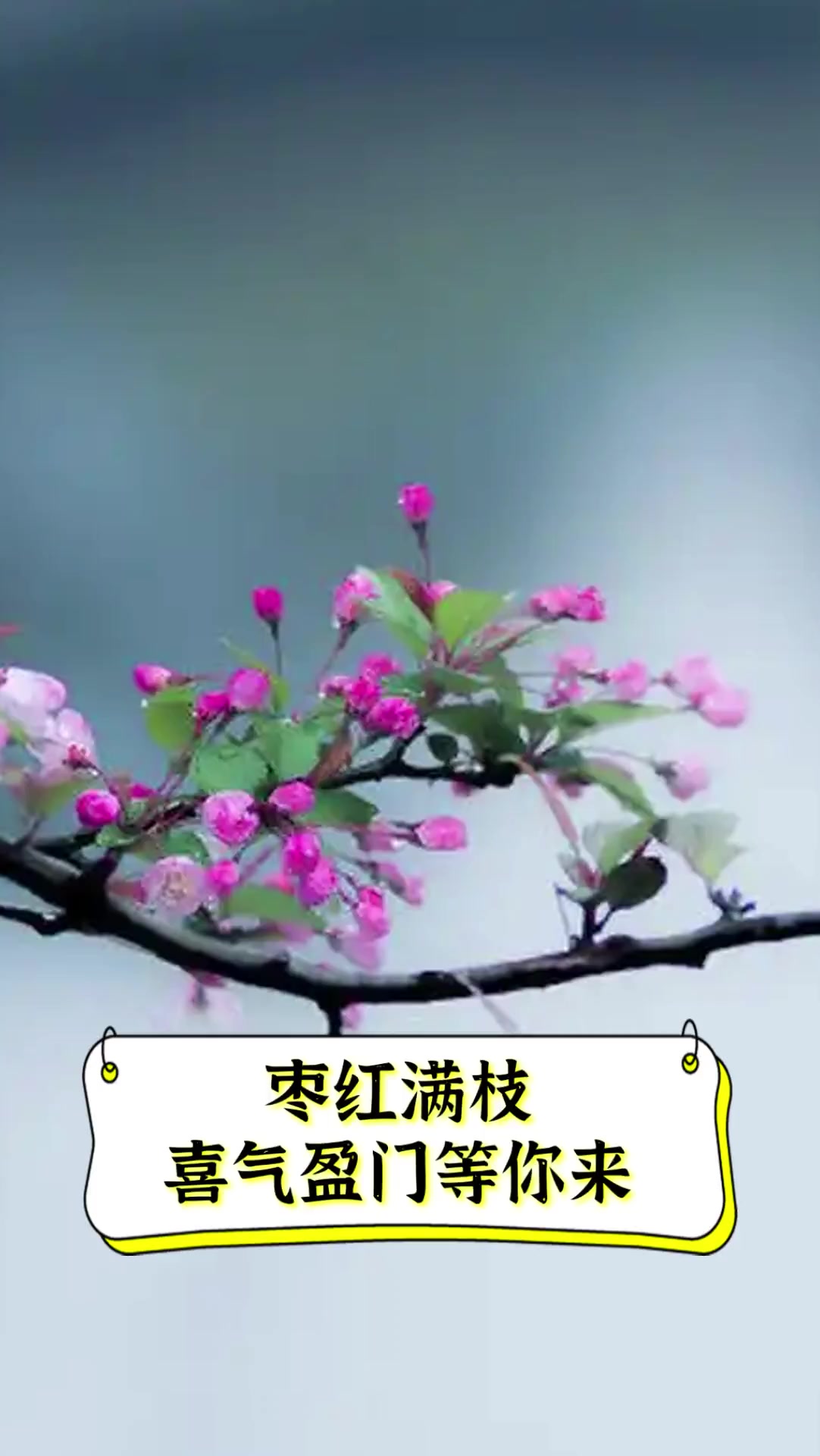 红满堂论坛，探索网络交流的新天地