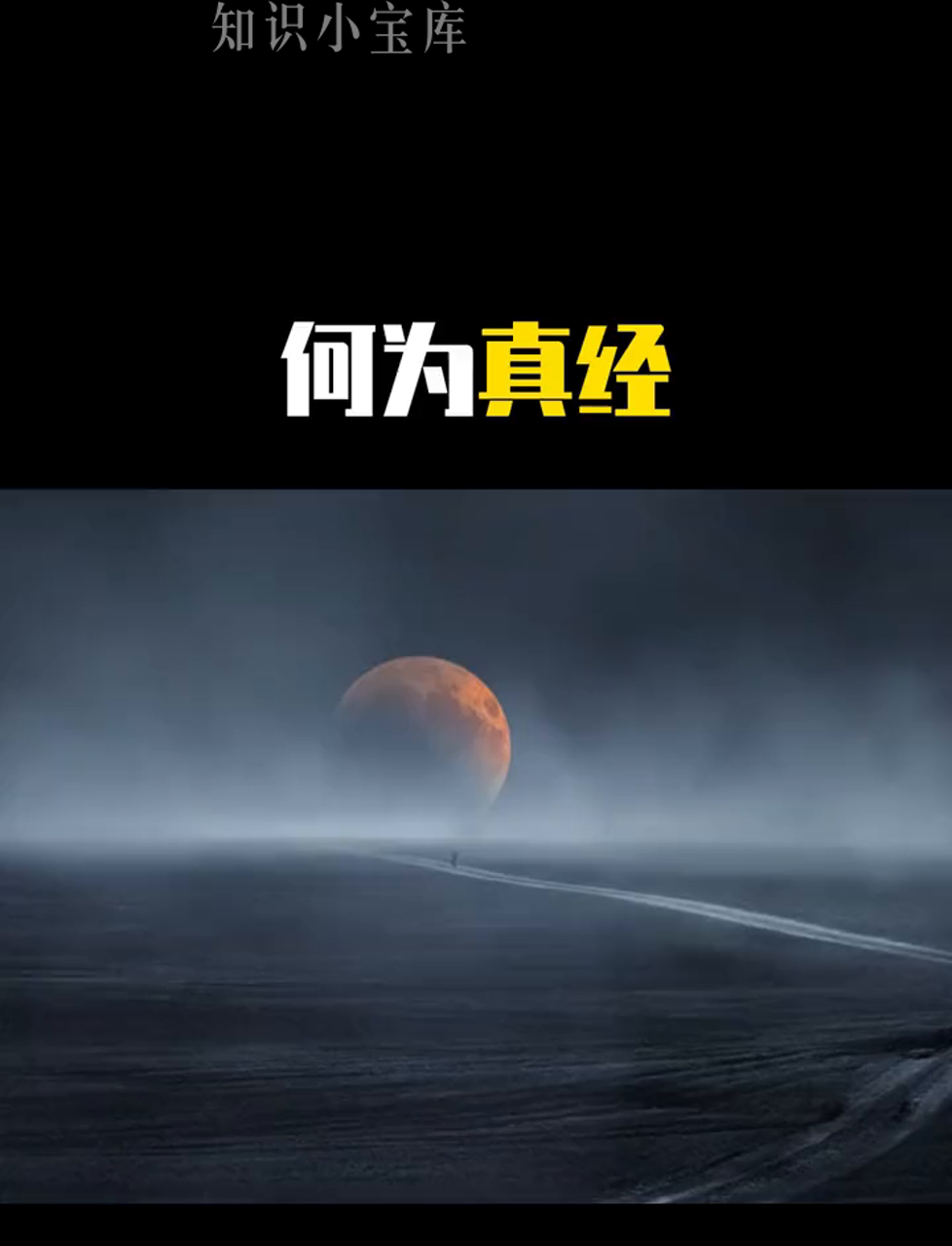 真正老道真正老道